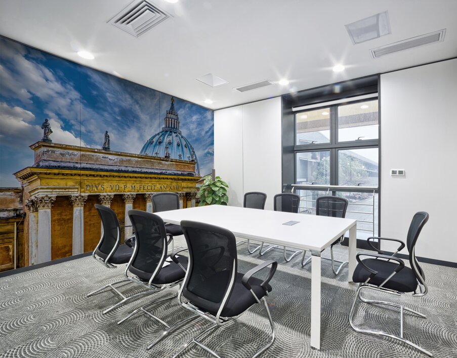 Ancient Columns and Saint Peters Basilica Wall Printing