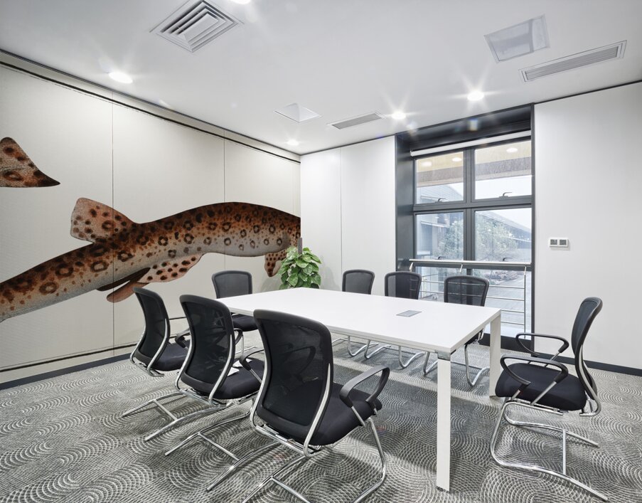 Small Spotted Catshark Sandy Dogfish Wall Printing