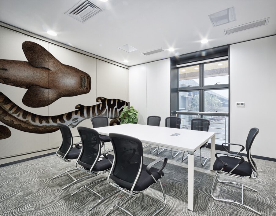 Zebra Shark Wall Printing