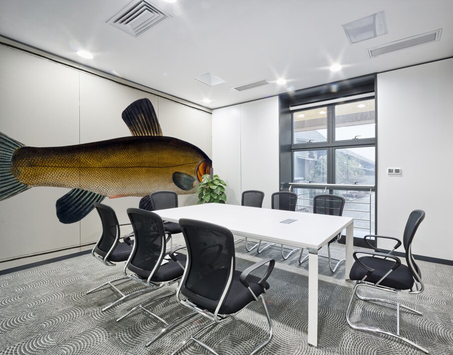 Tench Doctor Fish Wall Printing