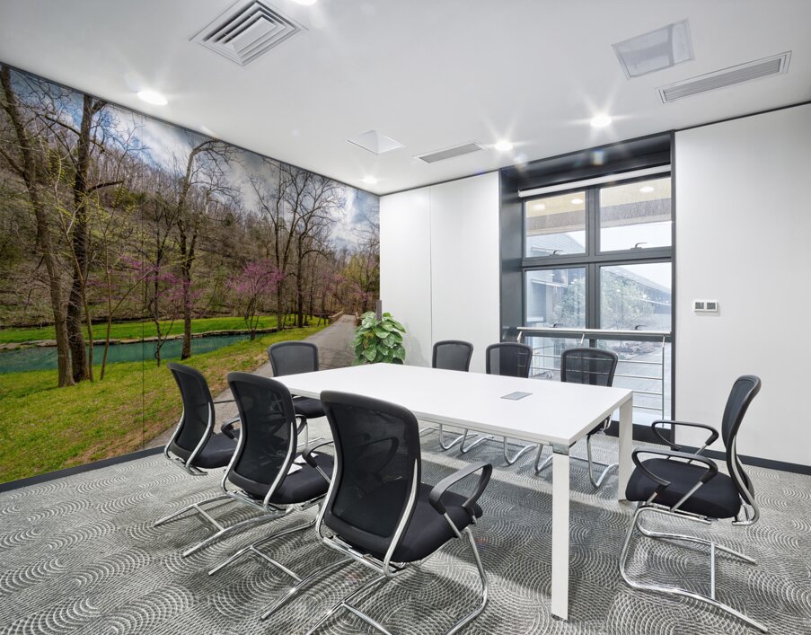 Walking Path On Spring Season Day Wall Printing