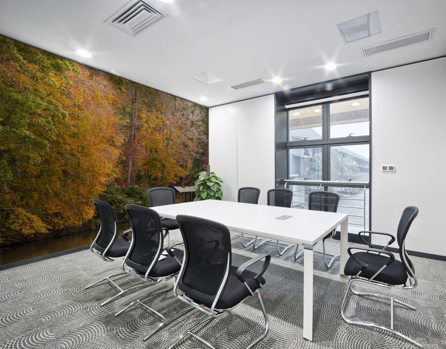 Fall at Hyco Lake Wall Printing