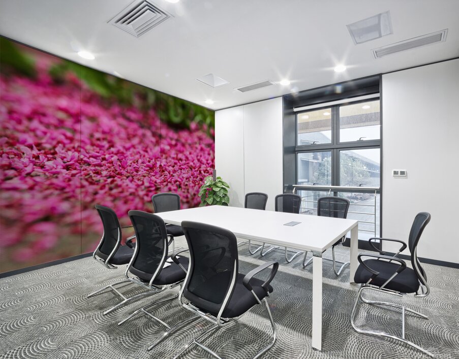 Spring time my front yard a Redbud tree Chicago Illinois Wall Printing