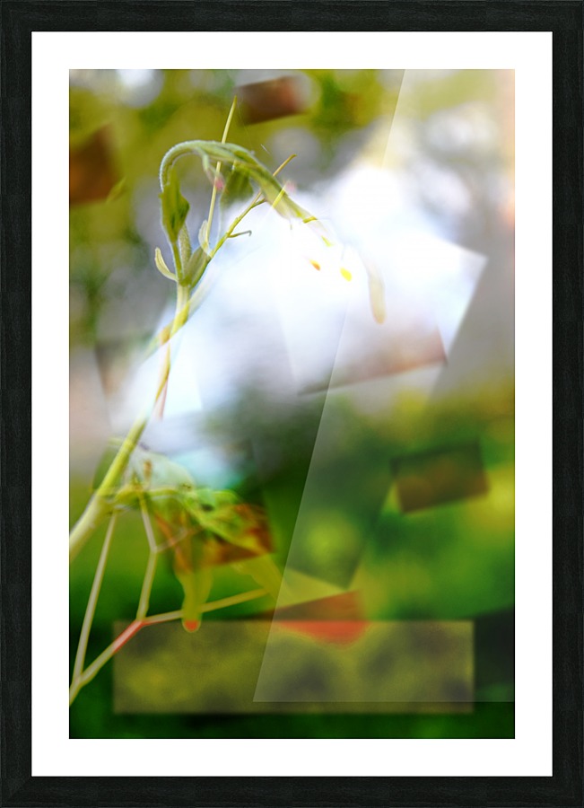 Tige printanière Picture Frame print