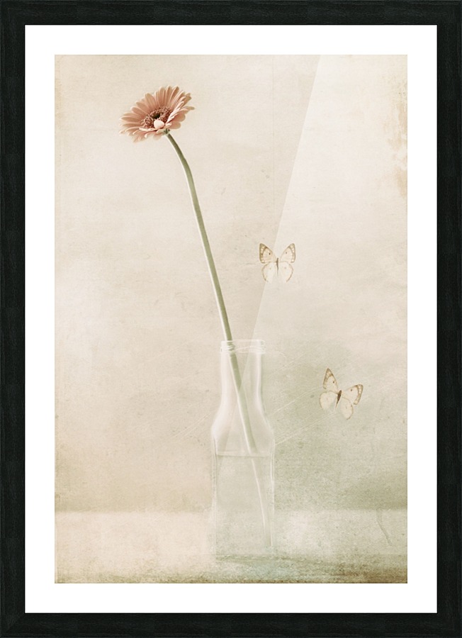 Miss Daisy Picture Frame print