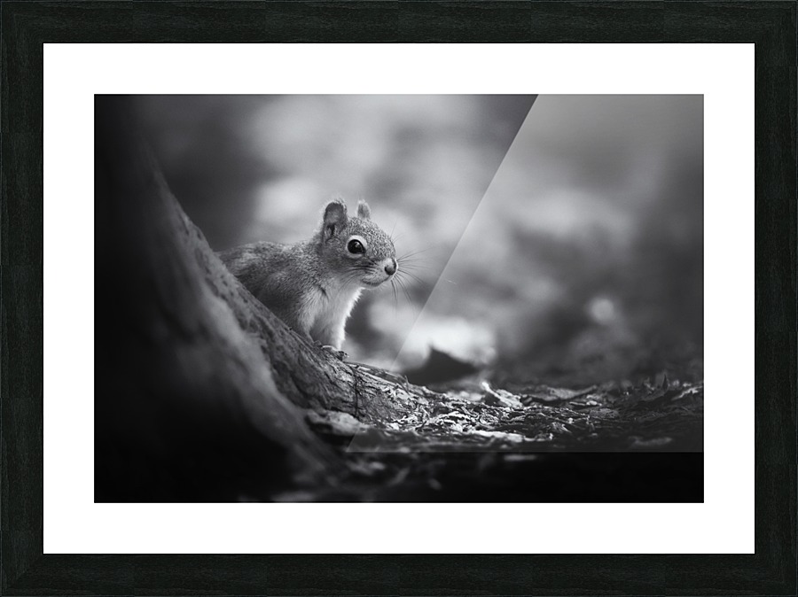 In the woods Picture Frame print