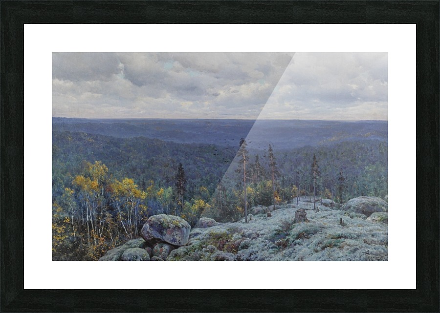 Woodland landscape, 1898 Picture Frame print