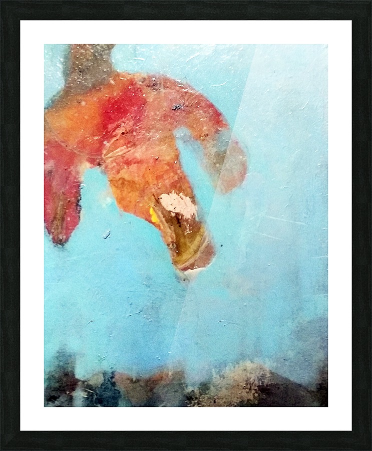 swallowovercityA Picture Frame print