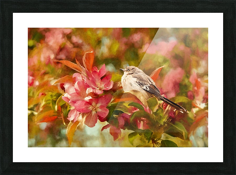 Sparrow In The Apple Tree Picture Frame print
