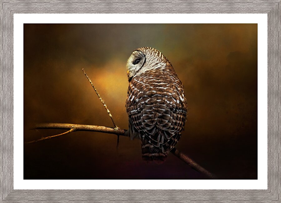 Textured Strix Varia Picture Frame print