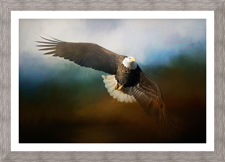 Raptor Picture Frame print