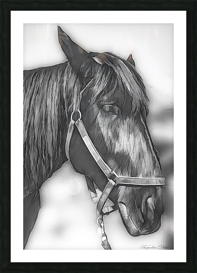  Fine Art print