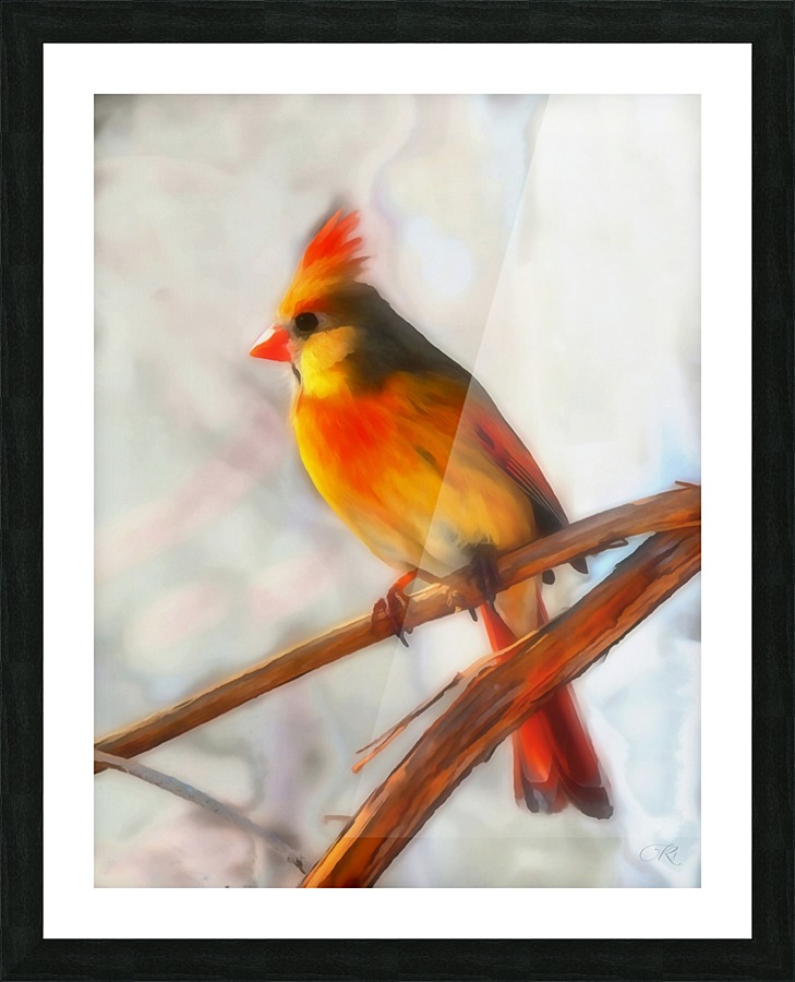 Cardinal Richard D Jungst Canvas Cardinal Picture Frame Printing