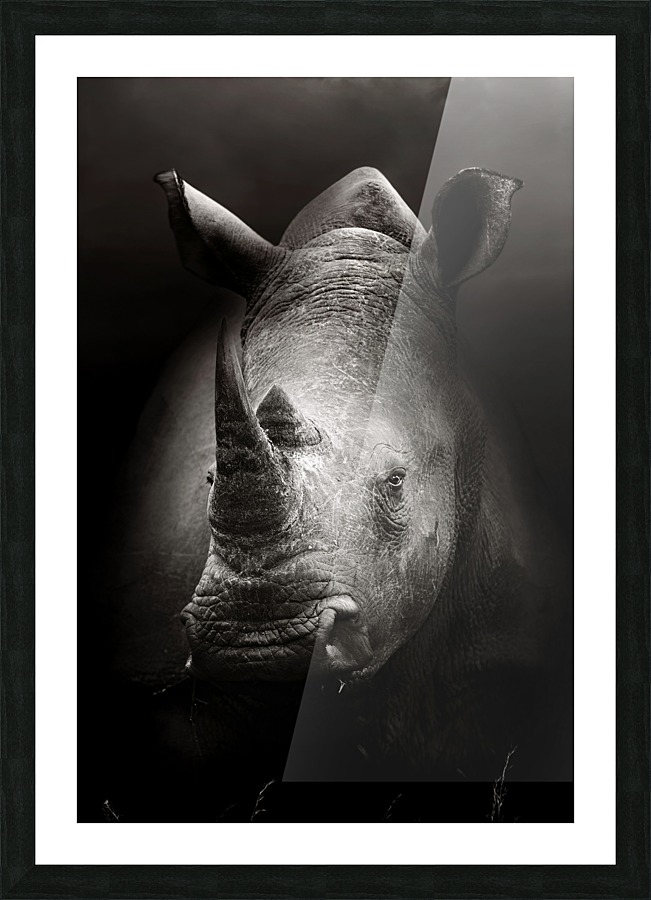 Rhinoceros portrait Picture Frame print