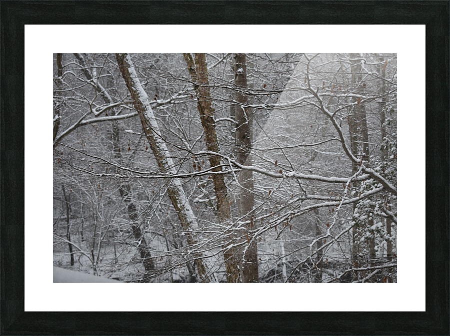 Snow in the South Picture Frame print