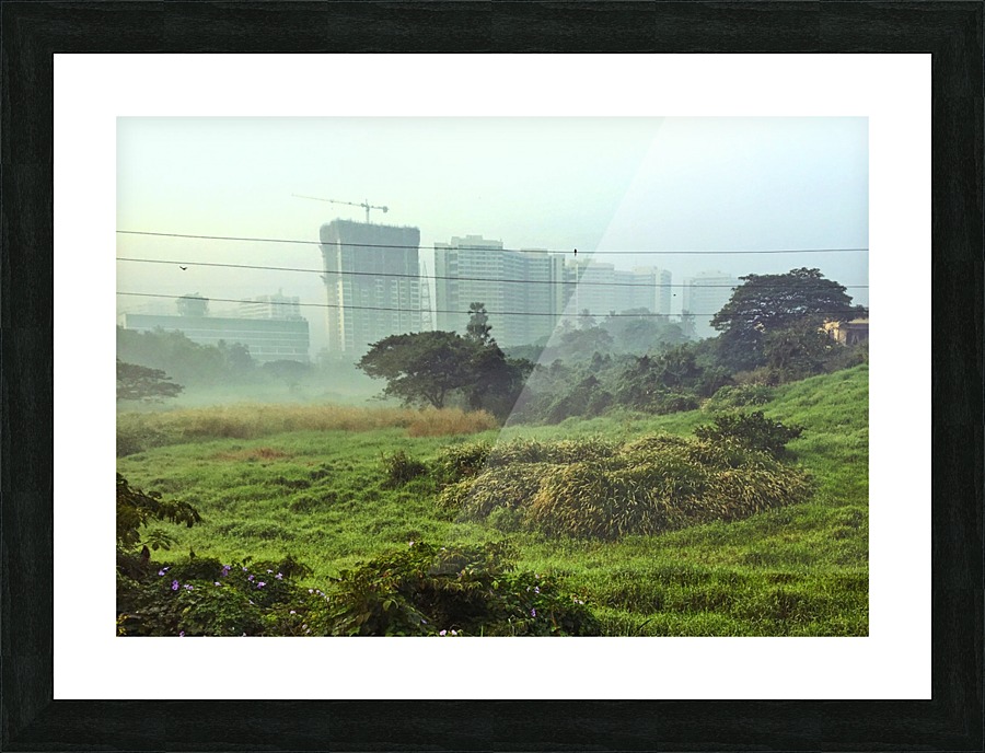  Fine Art print