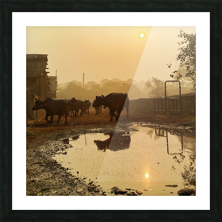  Fine Art print