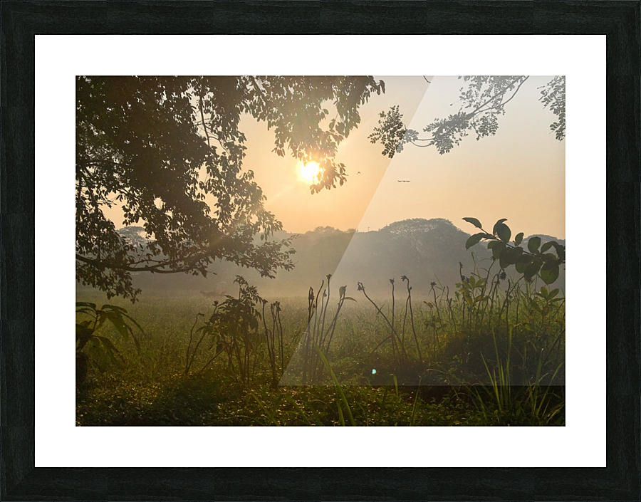  Fine Art print