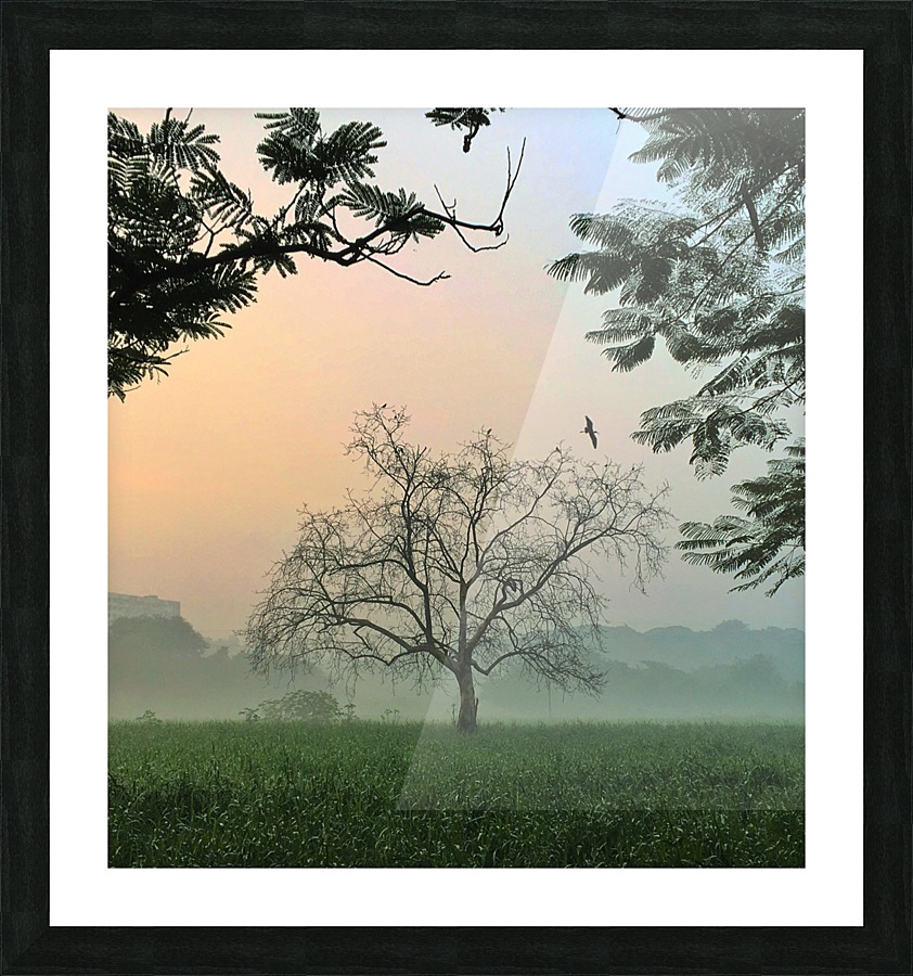  Fine Art print