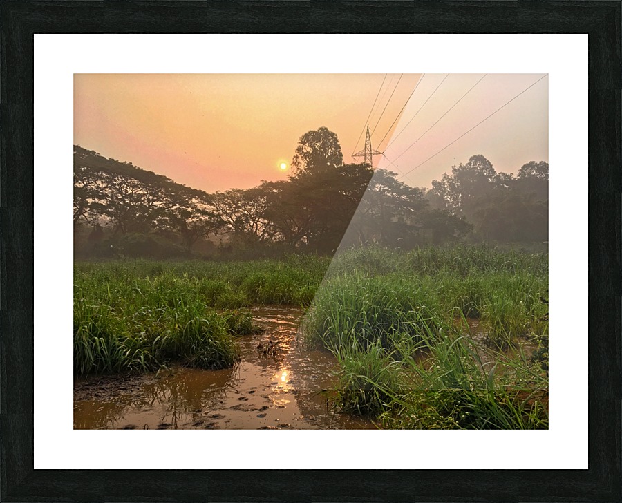  Fine Art print