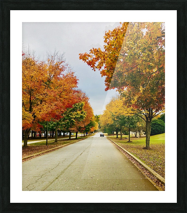Fall at Furman Picture Frame print