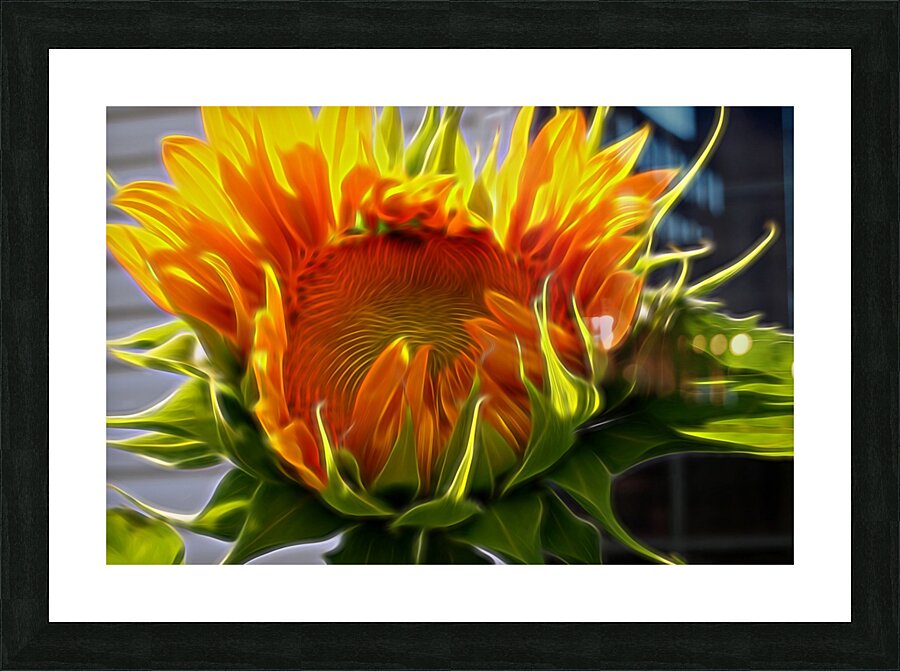  Fine Art print