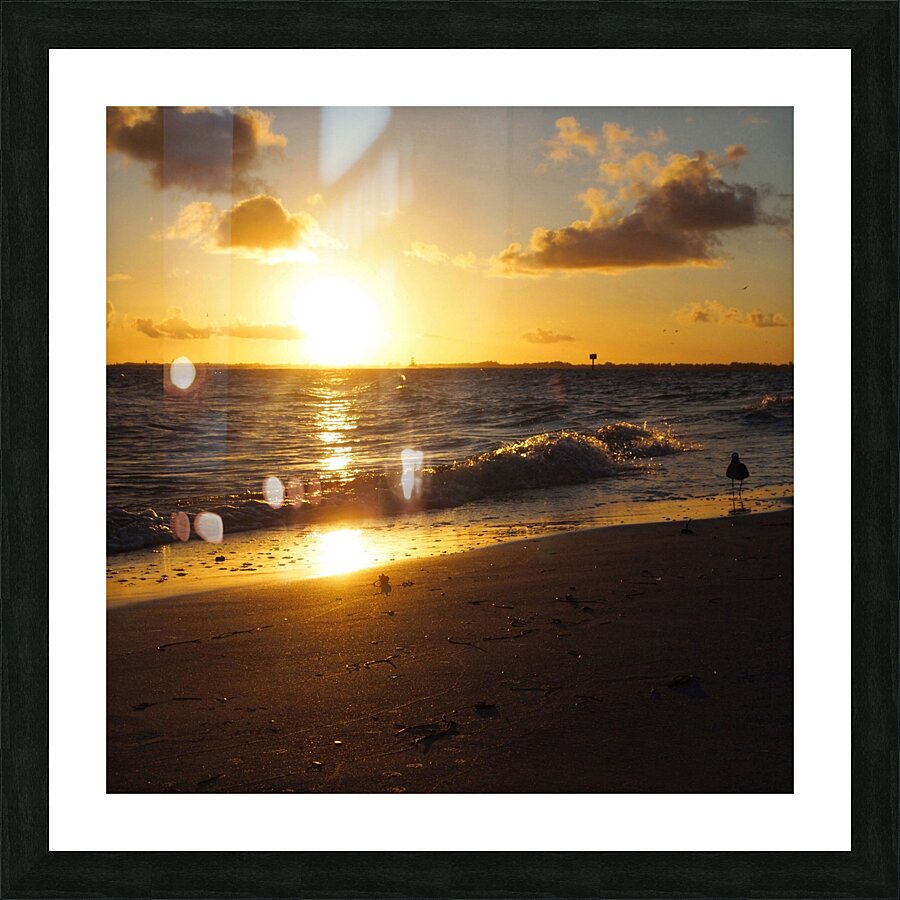  Fine Art print