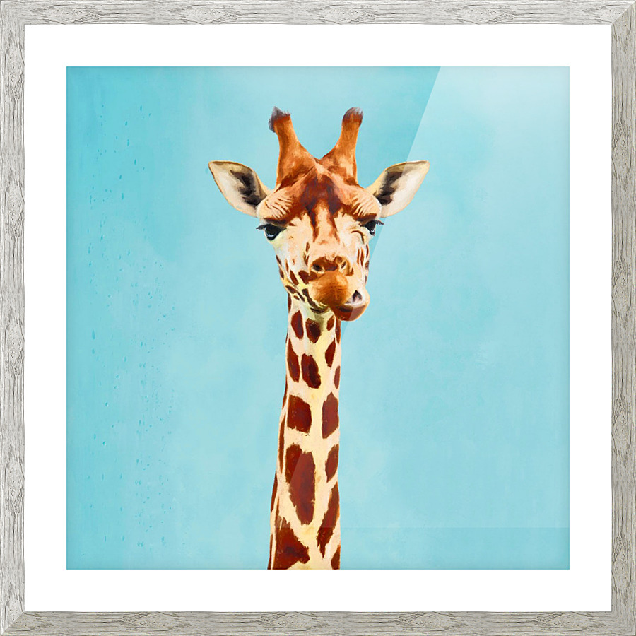 Giraff Picture Frame print