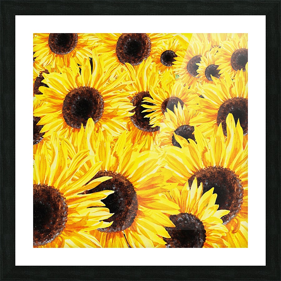 Sunflowers Field Watercolor Painting by Irina Sztukowski Picture Frame print