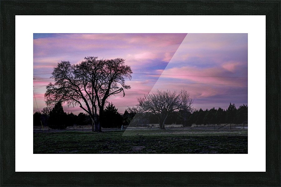  Fine Art print