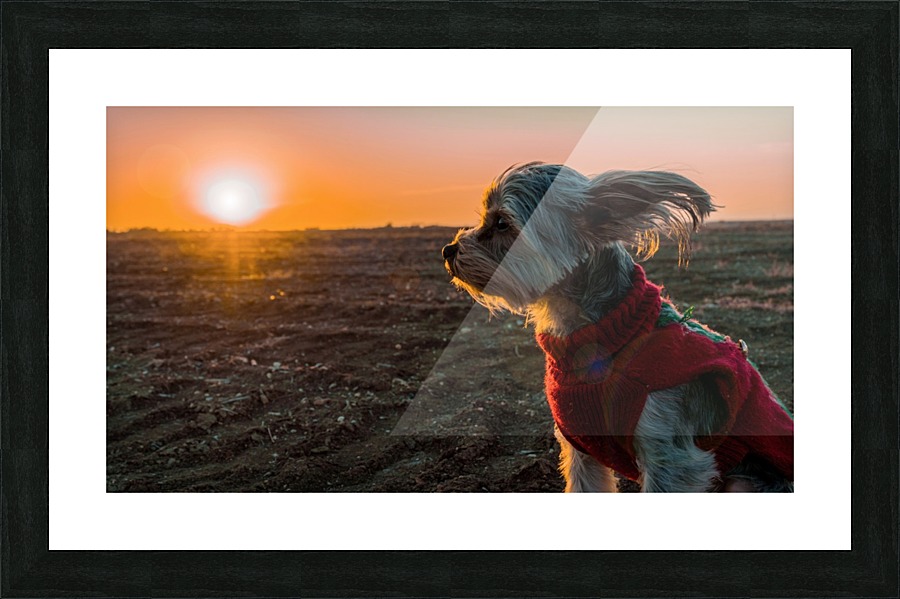  Fine Art print