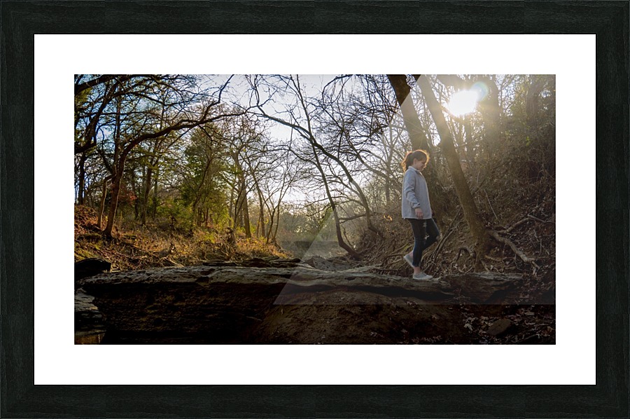  Fine Art print