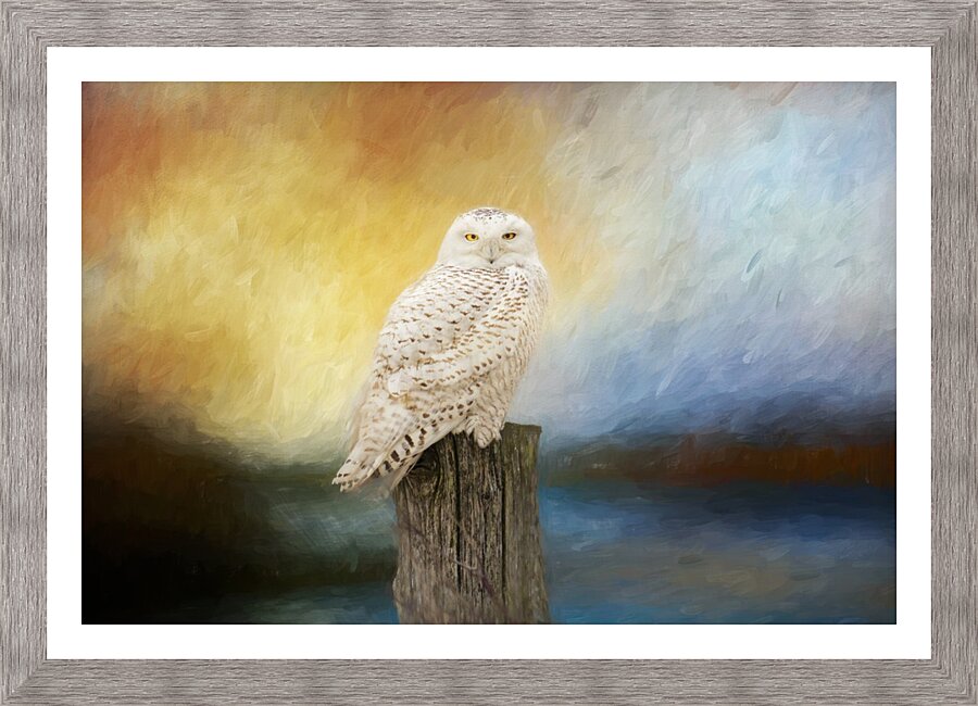 Impressions Picture Frame print