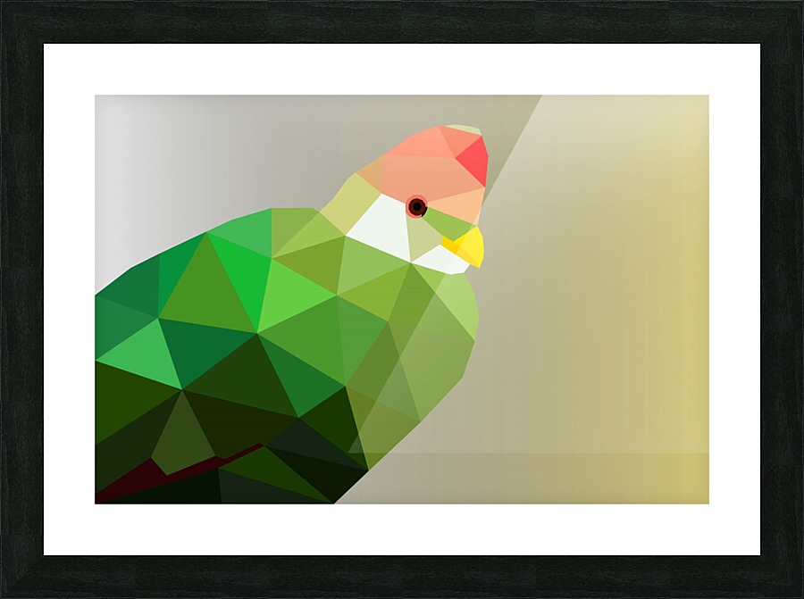 Red Crested Turaco Low Poly Art Rizu Designs Canvas Red Crested Turaco Low Poly Art Picture Frame Printing