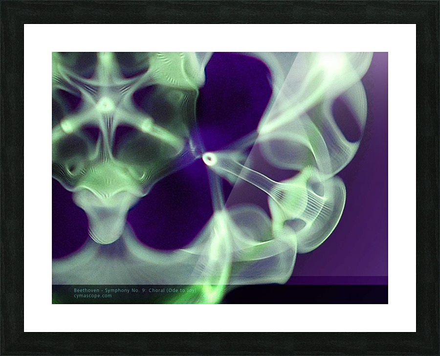 Neck-Ray Picture Frame print