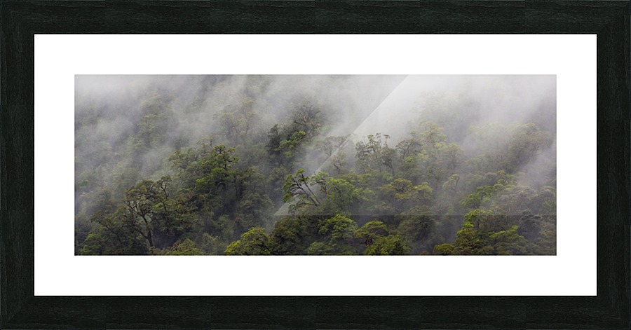Doubtful Sound South Island New Zealand Picture Frame print
