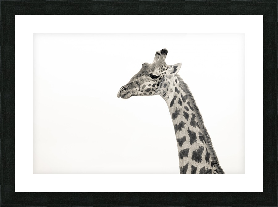 Stand Tall Jadupont Photo Canvas Stand Tall Picture Frame Printing