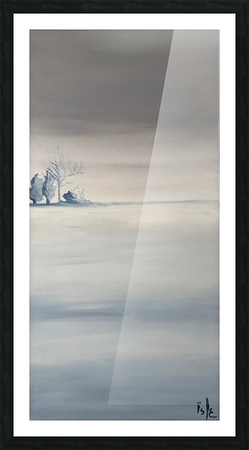 IMG_0020 Picture Frame print