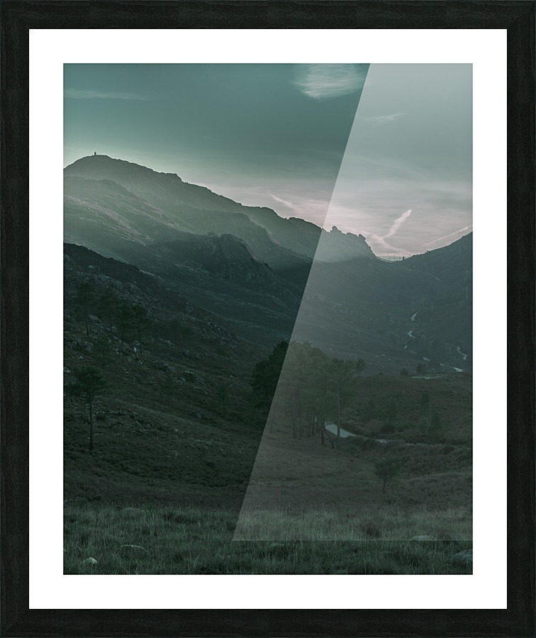 Backyard Picture Frame print