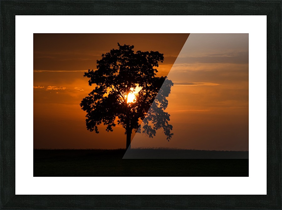 St. Georges Tree Picture Frame print