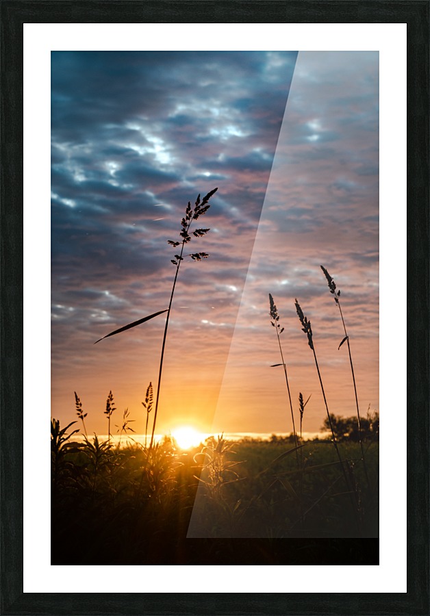 First Light Picture Frame print