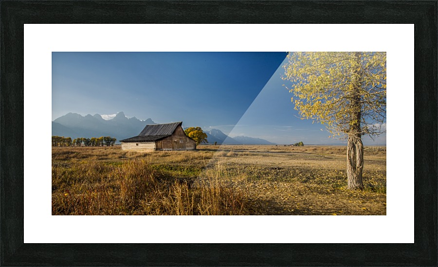 2S9A0909 Picture Frame print