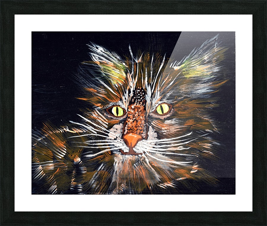 Whiskers. Stephen R Picture Frame print