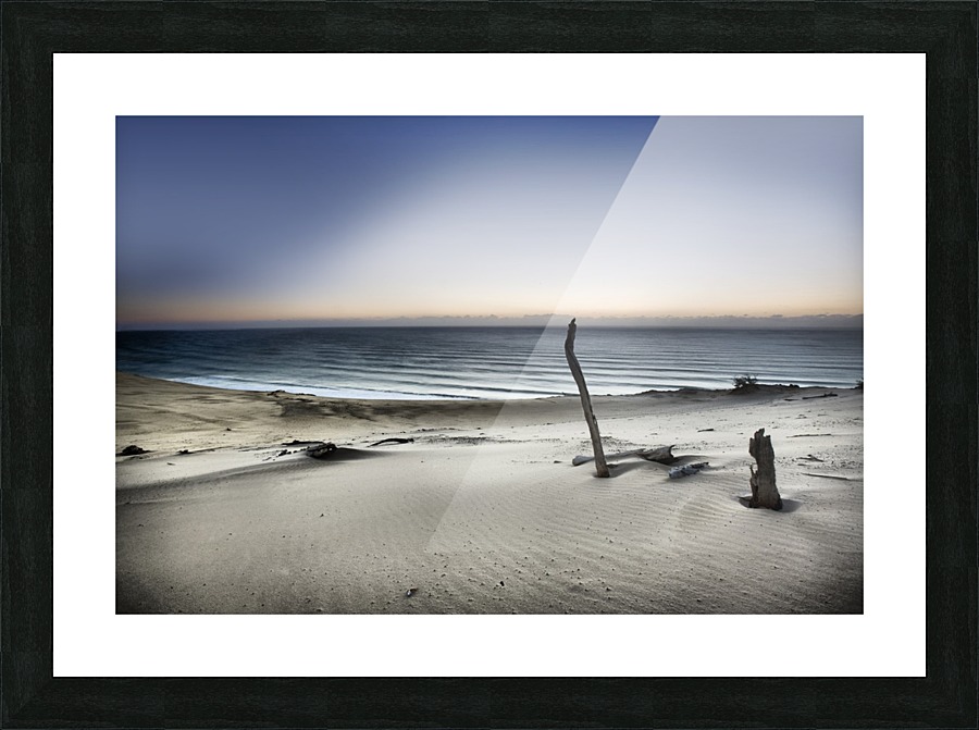 Reach for the sun Picture Frame print