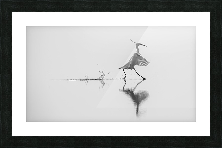 Dancing on the water Picture Frame print