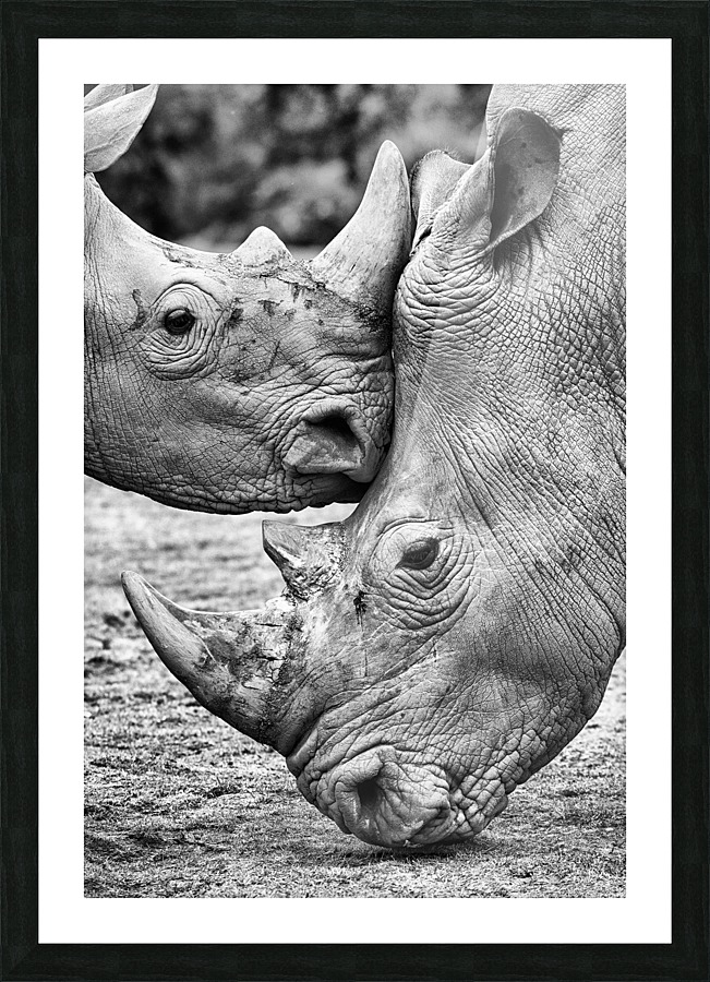 Face to face Picture Frame print