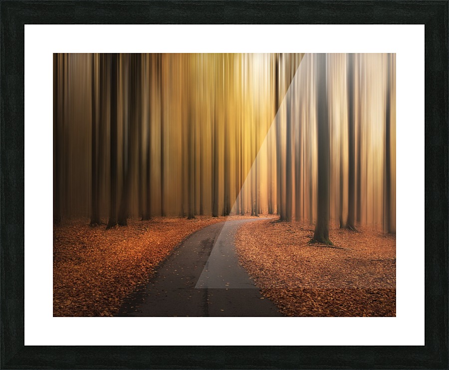 Path to unknown Picture Frame print
