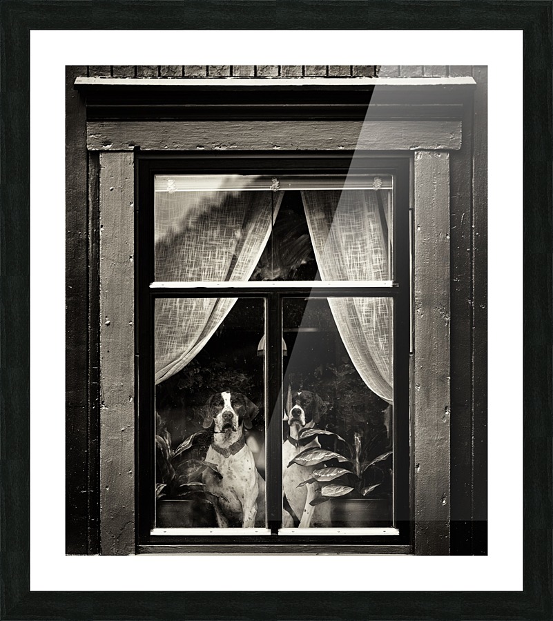 Dogs Picture Frame print