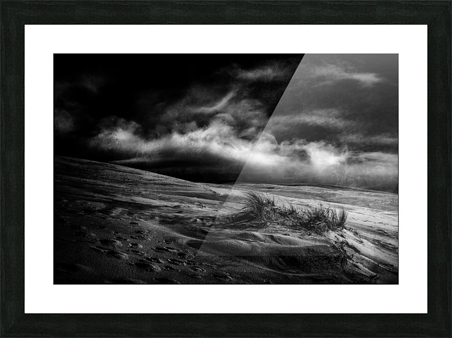 marram grass Picture Frame print