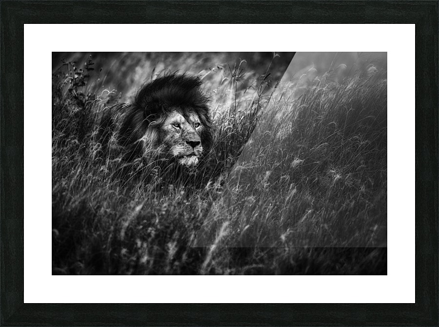 Immortal Picture Frame print